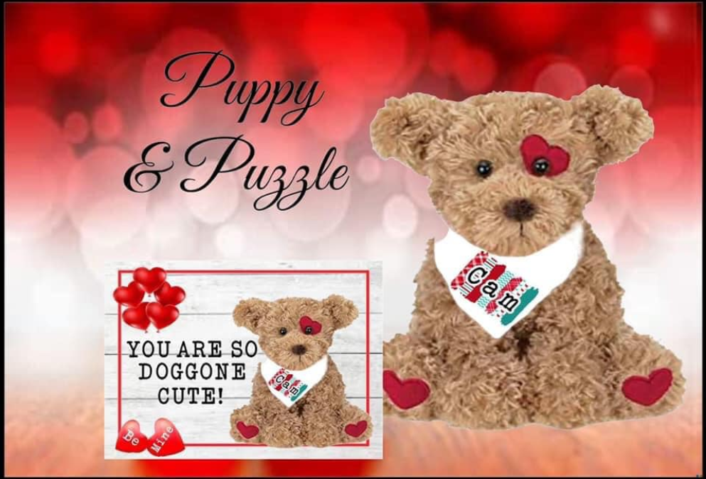 Personalized Teddy Bear with Custom Name Shirt – Adorable Gift for Any Occasion